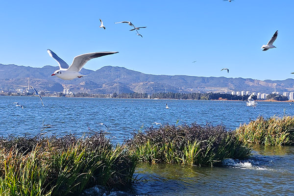 消音降噪材料廠家利用臉書社交媒體營銷開展海外市場